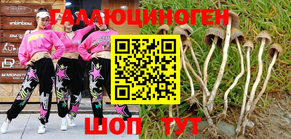Псилоцибиновые грибы MAGIC MUSHROOMS Муравленко