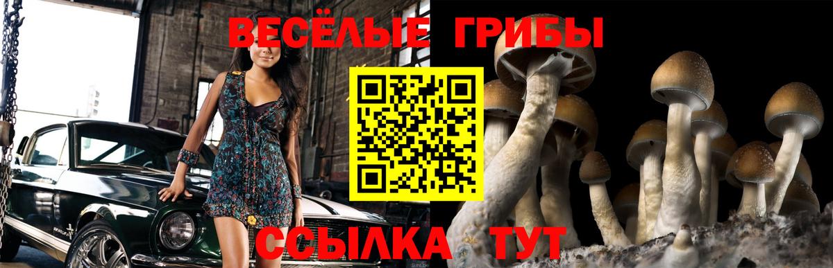 Псилоцибиновые грибы мицелий  Псилоцибиновые грибы Psilocybe  Муравленко  Вход с VPN 